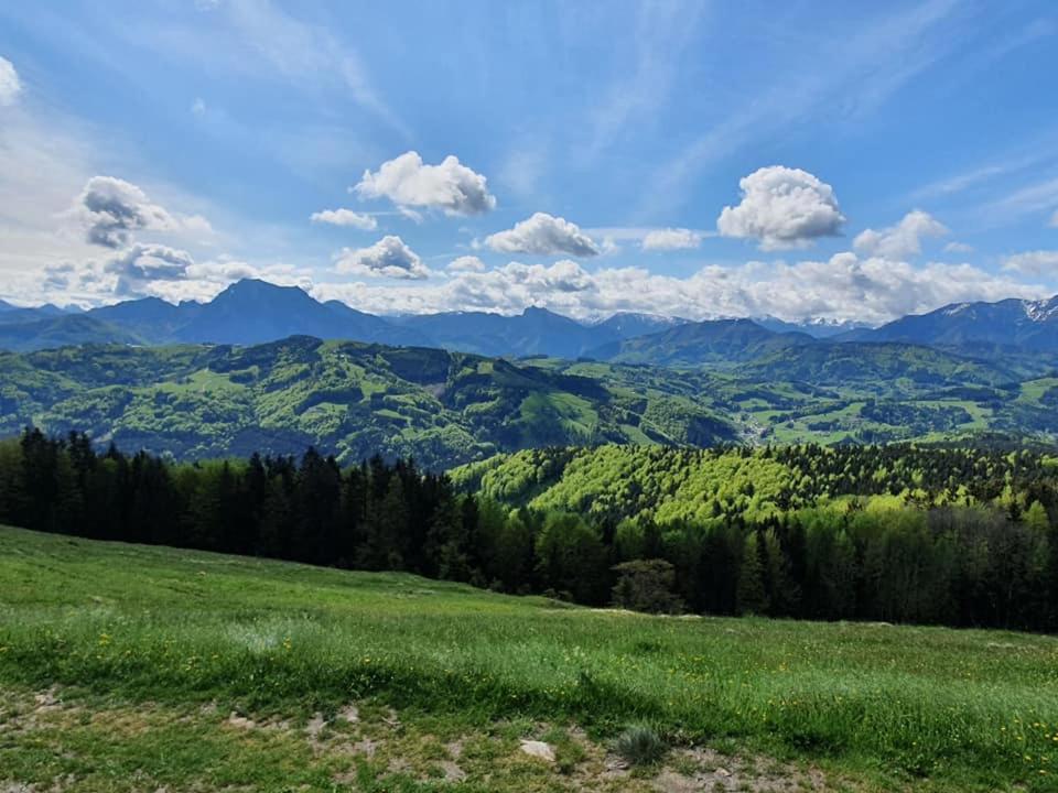 Ferienwohnung Holzhaus Zum Schwarz'n Aurach am Hongar Exterior foto