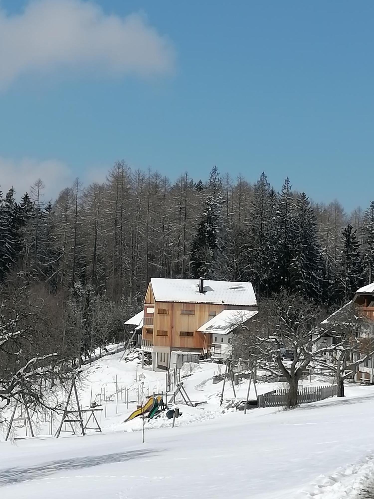 Ferienwohnung Holzhaus Zum Schwarz'n Aurach am Hongar Exterior foto