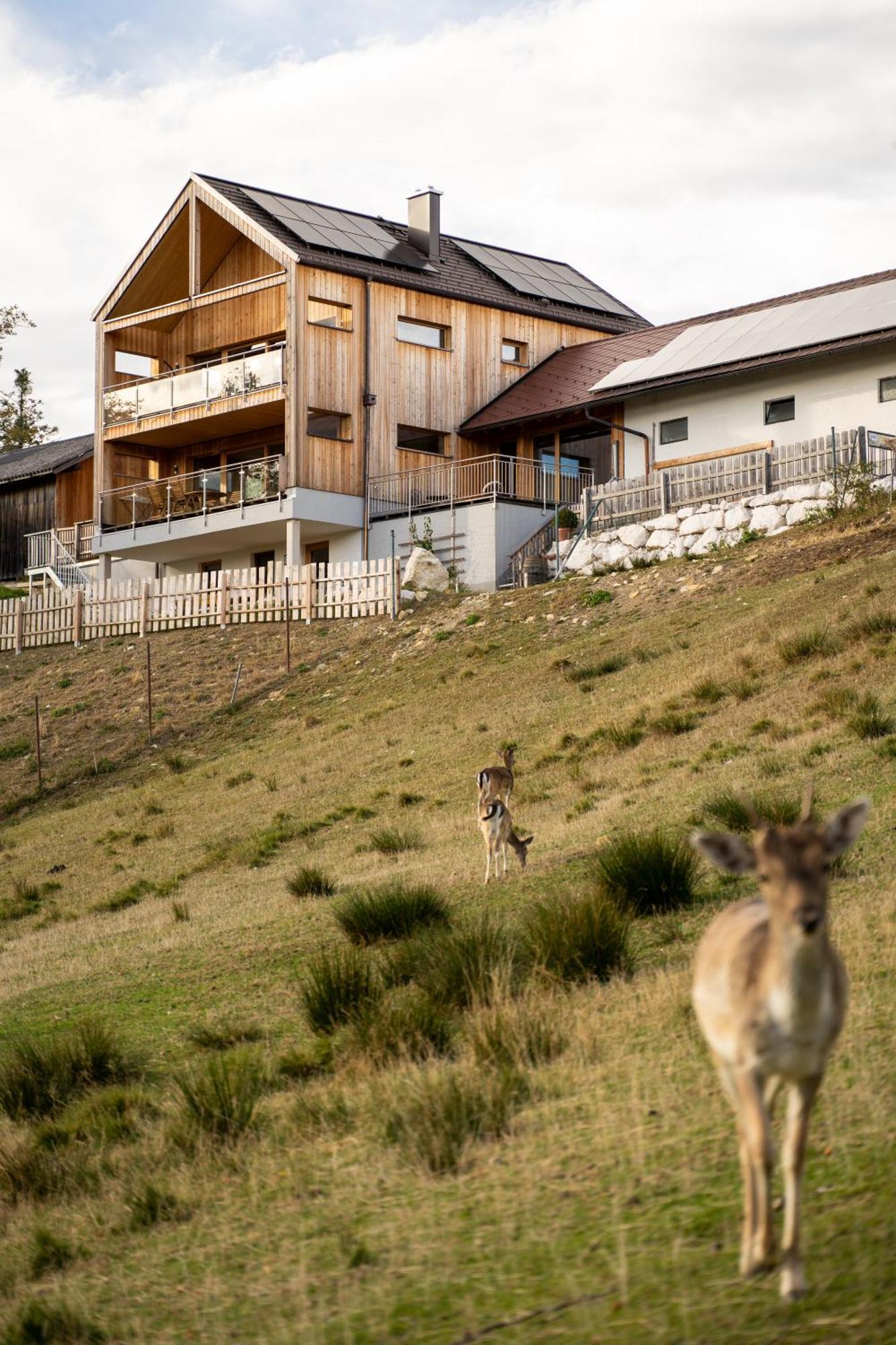 Ferienwohnung Holzhaus Zum Schwarz'n Aurach am Hongar Exterior foto